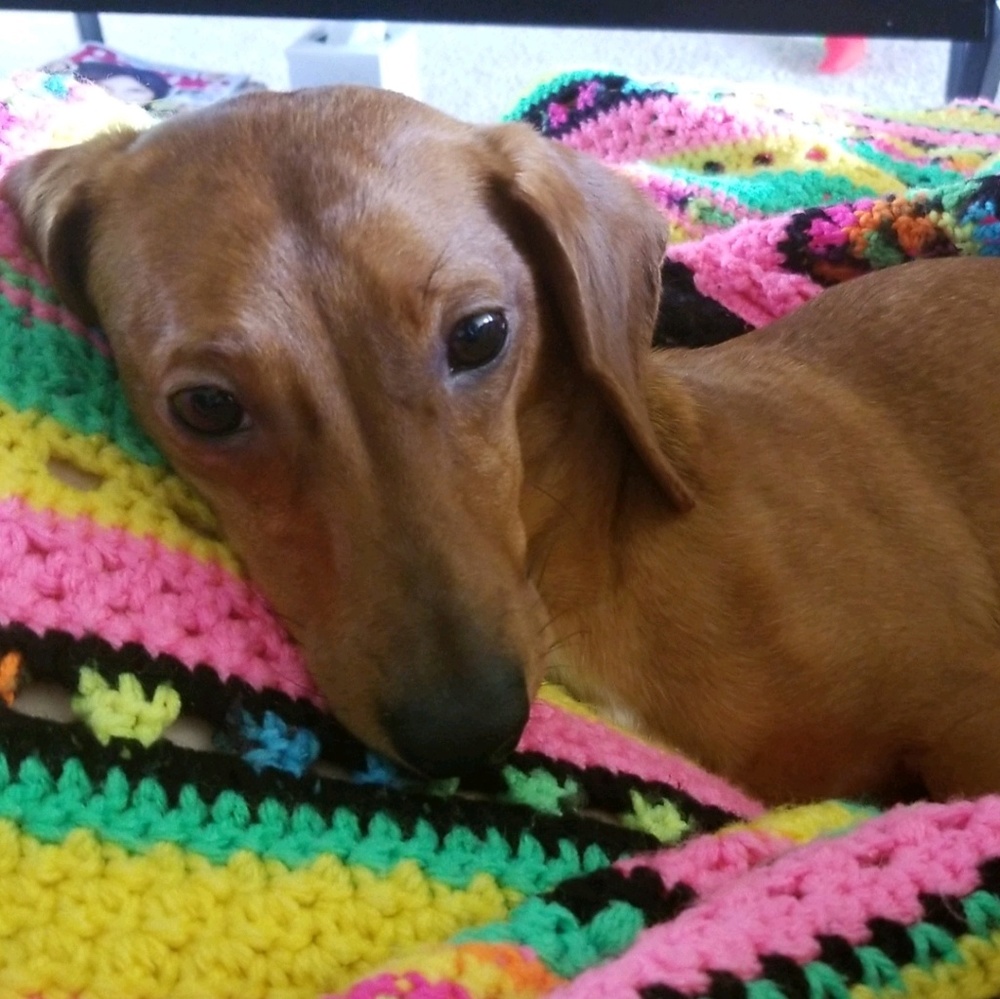 Meet your Posher, Rebecca